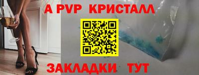 крисы Владимир